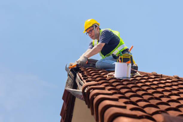 Best Roof Coating and Sealing  in Blasdell, NY